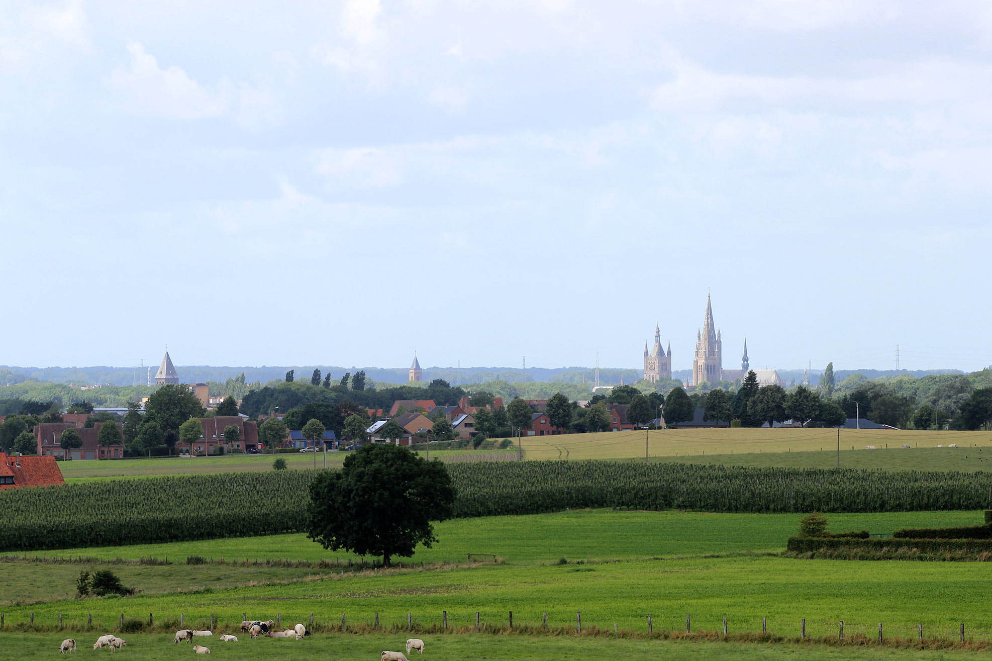 Ypres